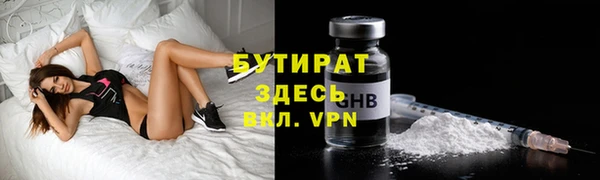 гидра Богданович