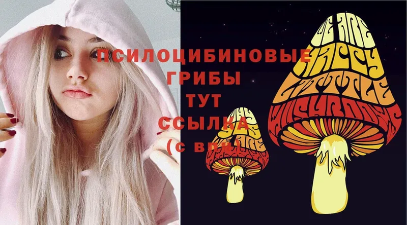 Псилоцибиновые грибы Magic Shrooms  MEGA зеркало  Донецк 